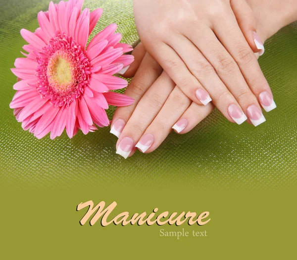 Vrouw handen met Frans manicure en bloem op groene achtergrond — Stockfoto