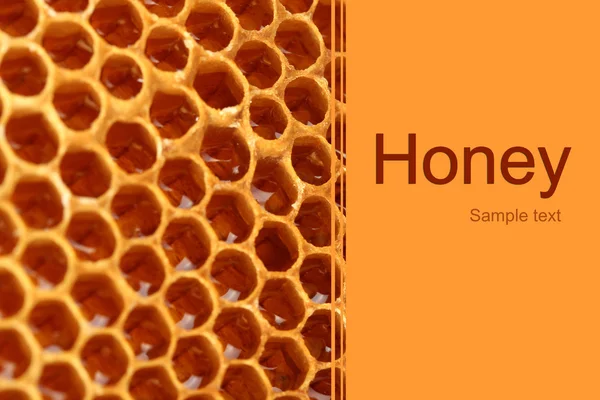 Gula vackra honeycomb bak — Stockfoto