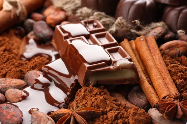 Samenstelling van chocolade snoepjes, cacao en specerijen — Stockfoto