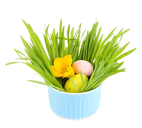 Easter egg in bowl with grass on table isolated on white — Stok fotoğraf