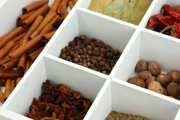 Assortment of aroma spices in white wooden box close up — Stock Photo, Image