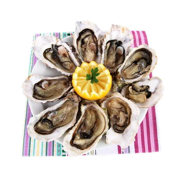 Oesters geïsoleerd op wit — Stockfoto