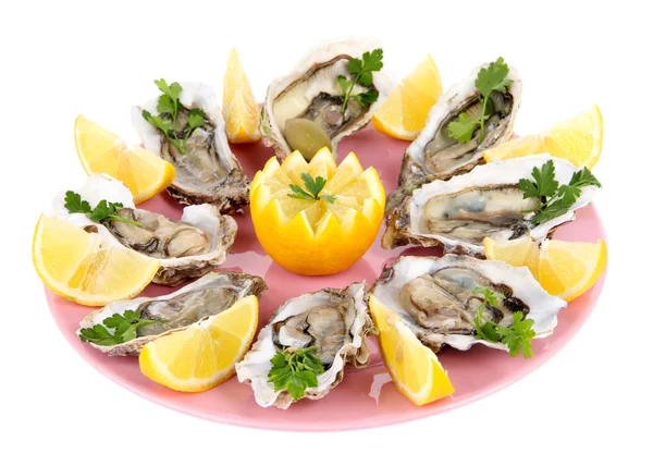 Oesters geïsoleerd op wit — Stockfoto