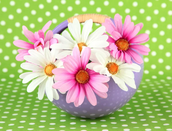 Pot with flowers on a green fabric background — Stock Photo, Image