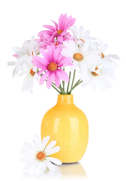 Schöne Gänseblümchen in farbenfroher Vase isoliert auf weiß — Stockfoto