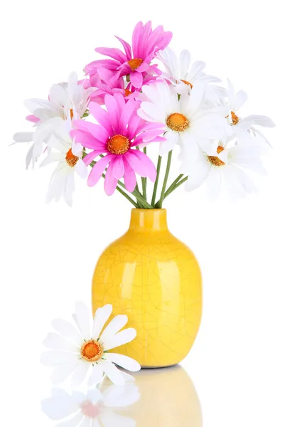 Margaridas bonitas em vaso colorido isolado em branco — Fotografia de Stock