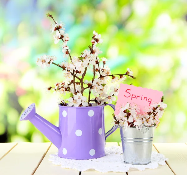 Beautiful blooming branches in watering on nature background — Stock Photo, Image