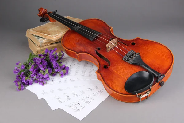 Classical violin on notes — Stock Photo, Image