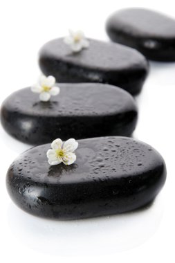 Spa taşlar ve beyaz çiçekler üzerinde beyaz izole