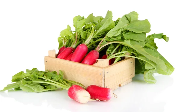 Small garden radish with leaves isolated on white — Stock Photo, Image