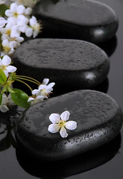 Spa stones and white flowers on dark background — Stock Photo, Image