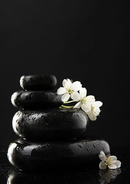 Piedras de spa y flores blancas aisladas en negro —  Fotos de Stock