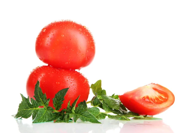 Tomates maduros aislados en blanco —  Fotos de Stock