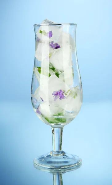 Isbitar med blommor och örter i glas, på blå bakgrund — Stockfoto
