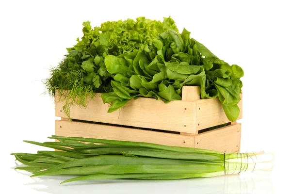 Useful herbs isolated on white — Stock Photo, Image