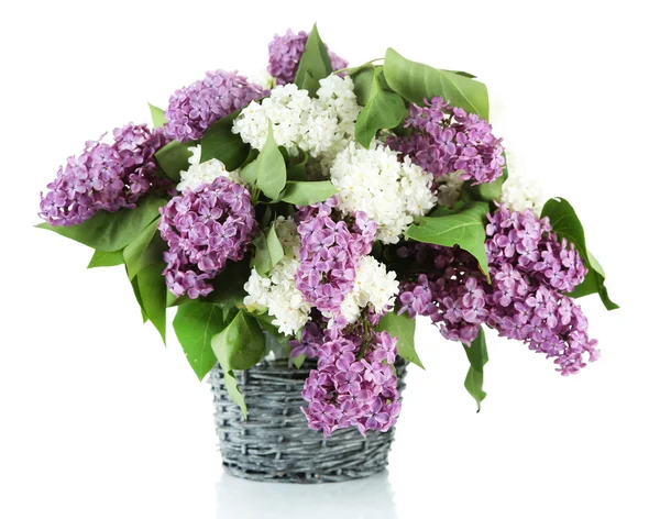 Beautiful lilac flowers in wicker vase, isolated on white — Stock Photo, Image