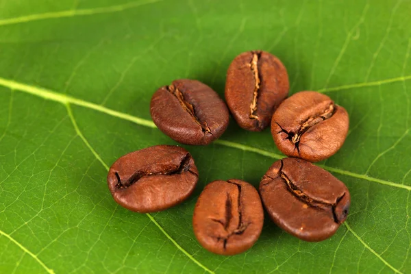 Kaffeekörner auf grünem Blatt in Nahaufnahme — Stockfoto