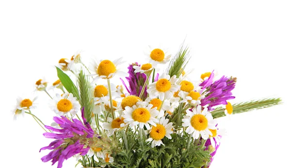 Prachtige wilde bloemen, geïsoleerd op wit — Stockfoto