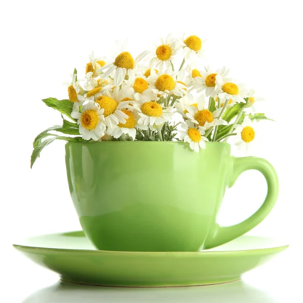 Beautiful wild camomiles and mint in cup, isolated on white — Stock Photo, Image