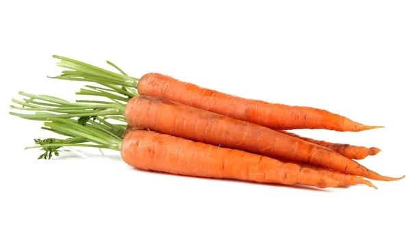 Морковь, изолированная на белом — стоковое фото