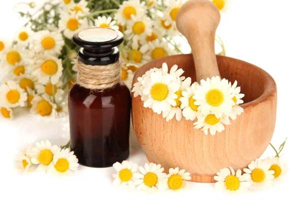 Essential oil and chamomile flowers in mortar close up — Stock Photo, Image