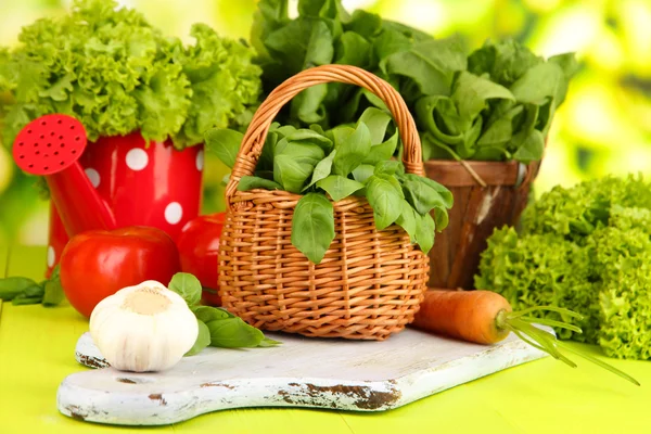 Fresh herb in basket on wooden table on natural background — Stock Photo, Image