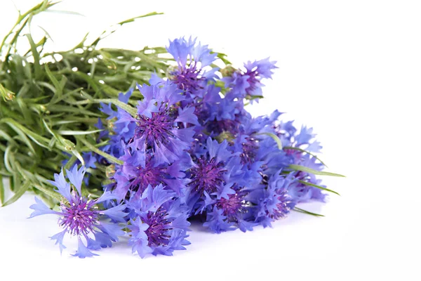 Hermoso ramo de flores, aislado en blanco — Stockfoto