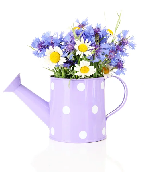 Bouquet of cornflowers and chamomiles in watering can, isolated on white — Stock Photo, Image
