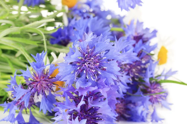 Beautiful bouquet of cornflowers and chamomiles ,isolated on white — Stock Photo, Image