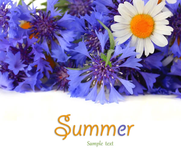 Vacker bukett av blåklint och chamomiles, isolerad på vit — Stockfoto