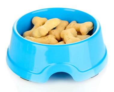 beyaz izole kase kuru köpek muamelesi yapıyor