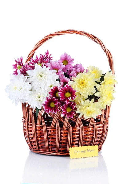 Bouquet of beautiful chrysanthemums in wicker basket isolated on white — Stock Photo, Image