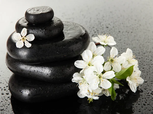 Piedras de spa y flores blancas sobre fondo oscuro —  Fotos de Stock