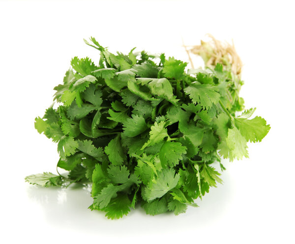 Useful herbs isolated on white