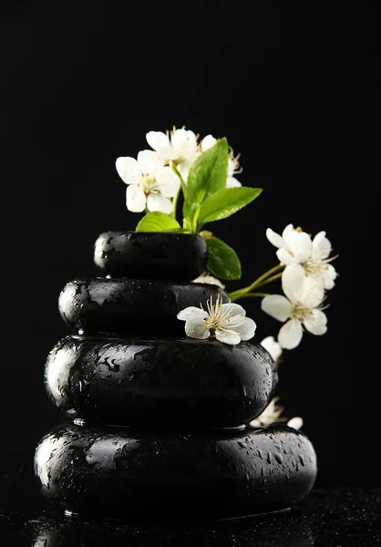 Pedras de spa e flores brancas isoladas em preto — Fotografia de Stock