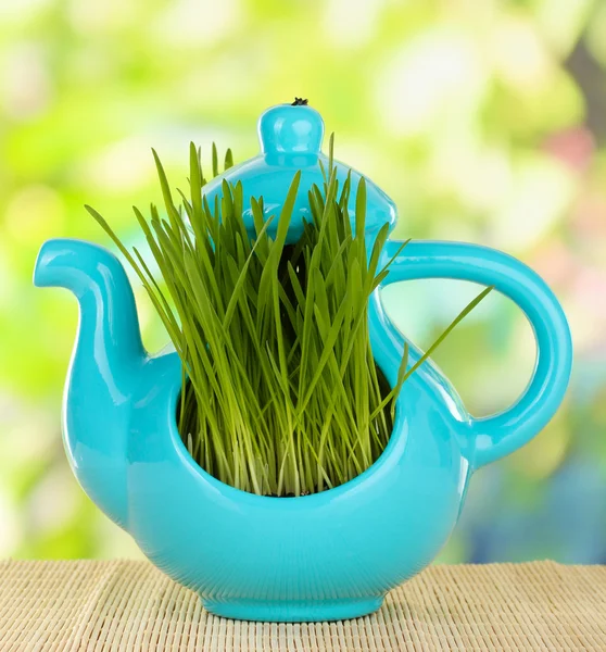 Зеленая трава в декоративном горшке на ярком фоне — стоковое фото