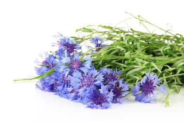 güzel beyaz izole Peygamber, buket