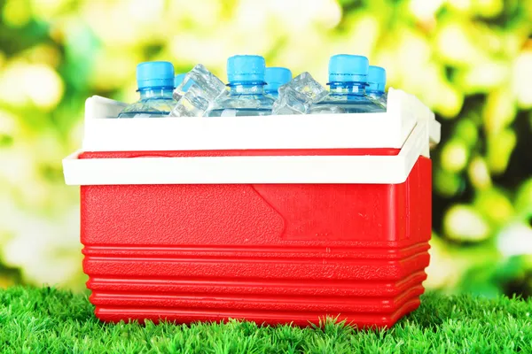 Picnic refrigerador con botellas de agua y cubitos de hielo en la hierba — Foto de Stock