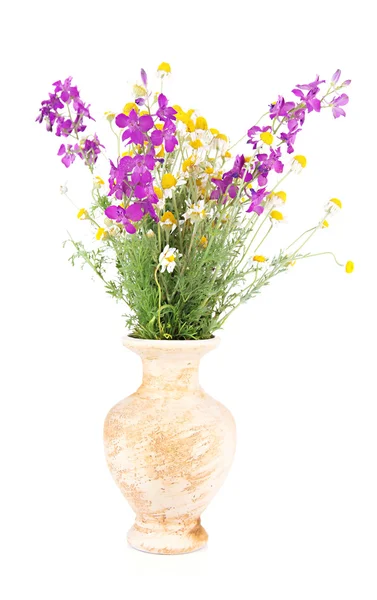 Bukett av vilda blommor i vas, isolerad på vit — Stockfoto