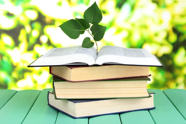 Masanın üzerine parlak arka plan bitki ile kitap — Stok fotoğraf