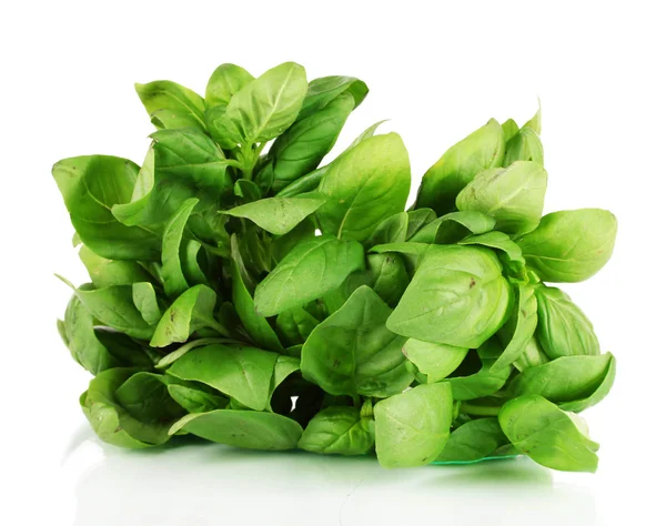 Green fresh basil isolated on white — Stock Photo, Image