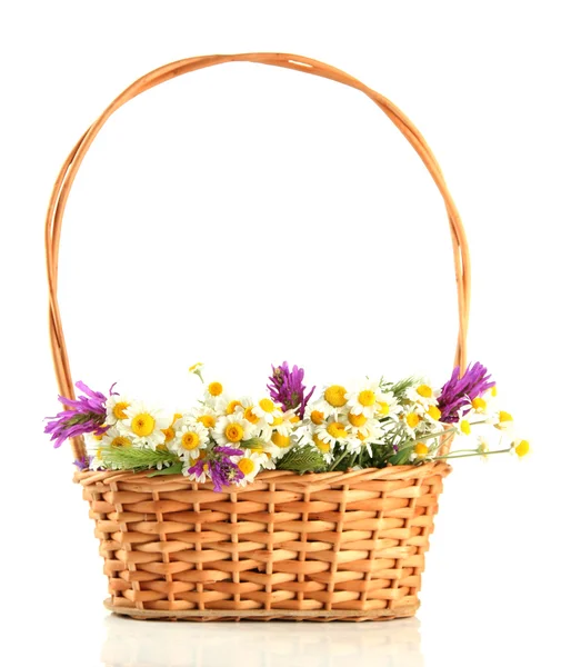 Hermosas flores silvestres en cesta, aisladas en blanco —  Fotos de Stock