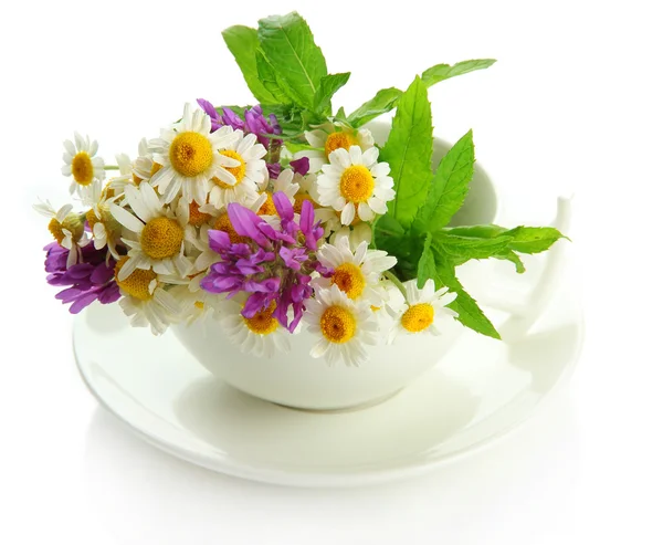 Prachtige wilde bloemen en munt in cup, geïsoleerd op wit — Stockfoto