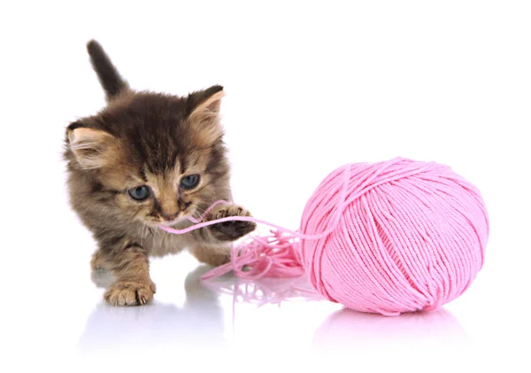 Liten kattunge spela med garn för stickning isolerad på vit — Stockfoto