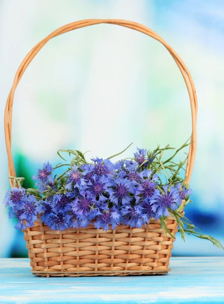 Красивый букет васильковых цветов в корзине на голубом фоне — стоковое фото