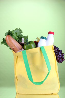 Eco bag with shopping on green background clipart