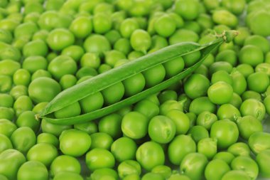 tatlı yeşil bezelye yakın çekim