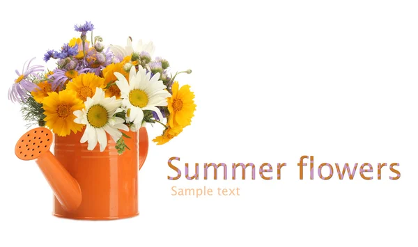 Belo buquê de flores silvestres brilhantes em regar pode isolado em branco — Fotografia de Stock