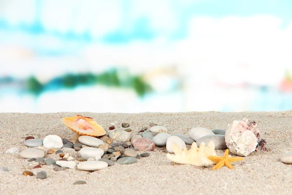 Stones in the sand on the sea background — Stockfoto