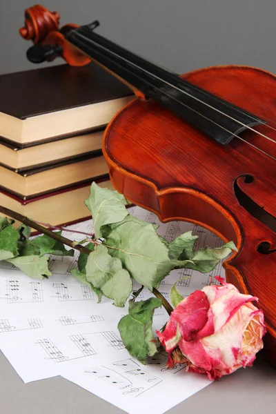 Violino classico sulle note — Foto Stock